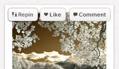 RepinButton Repin Like Comment buttons on Pinterest